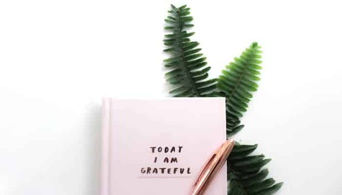 Aerial view of a pink gratitude journal with the words Today I Am Grateful next to a rose gold pen and green foliage