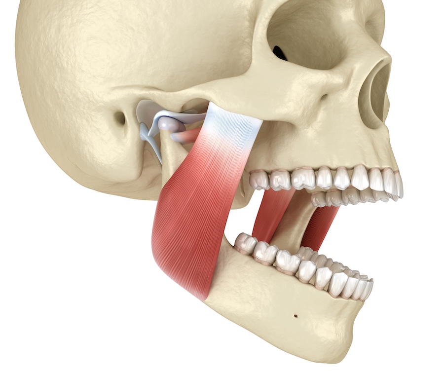 TMJ, TMD, signs of TMJ, jaw pain, teeth grinding, Cary dentist, TMJ relief, jaw discomfort