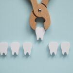 wooden model of a tooth extraction, dental extraction, oral surgery